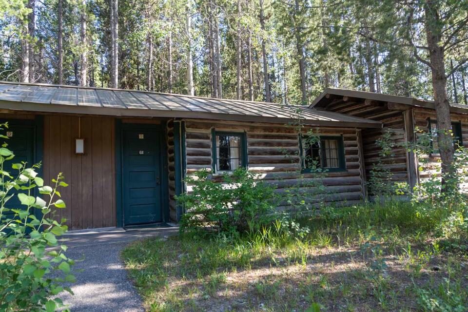 Bat scare at Grand Teton: Rabies risk alert