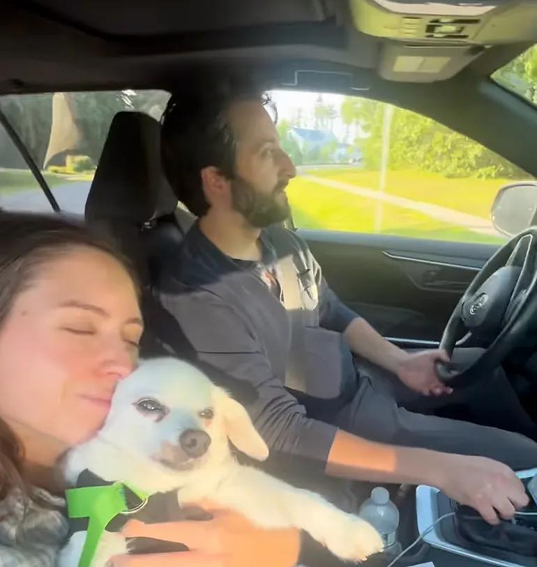 Why this couple chose their dog over a dream wedding
