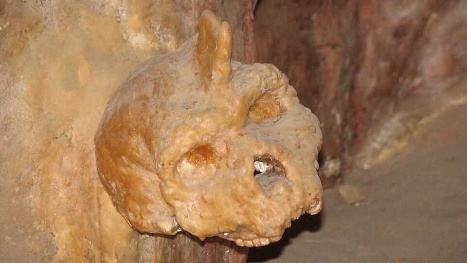 Ancient Skull Mystery: Not Human or Neanderthal?!