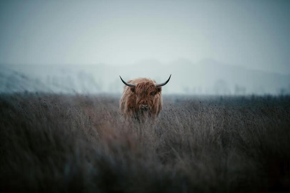 XRP & Solana: Crypto Comeback Brewing?