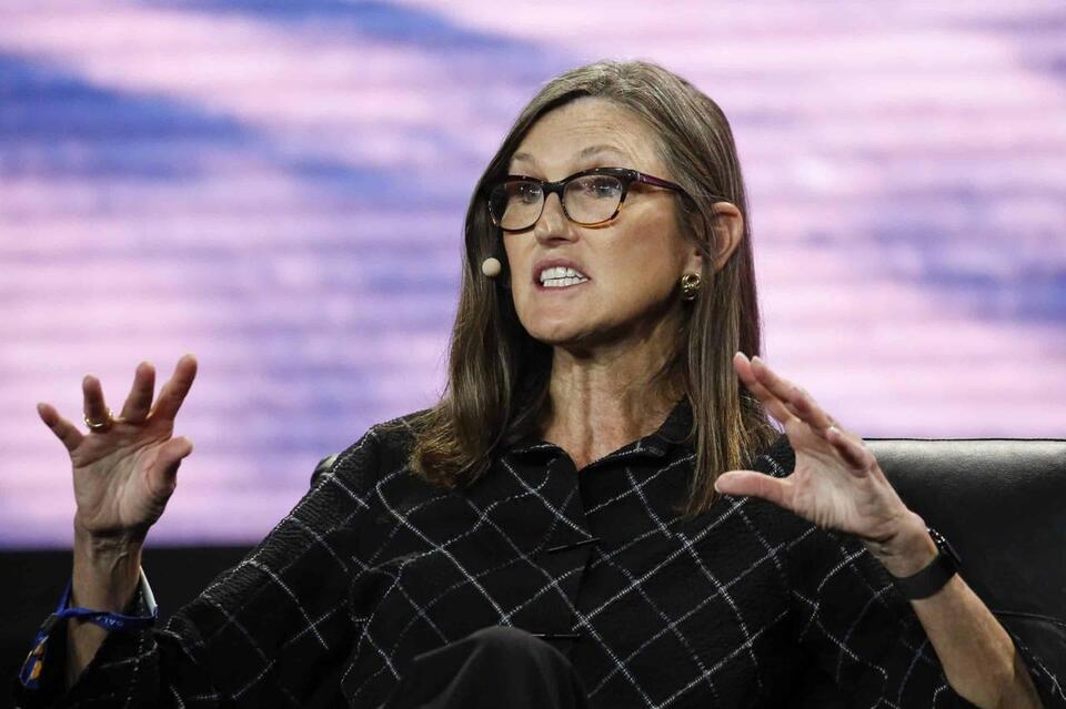 Cathie Wood’s Shopping List: AI & Biotech