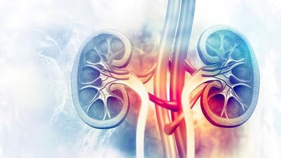 Did You Know Diabetes Can Secretly Hurt Your Kidneys?