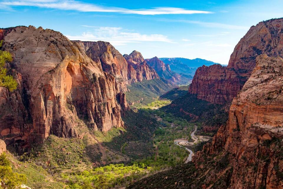 Wildlife in Parks Are Dodging Us—Here’s Why