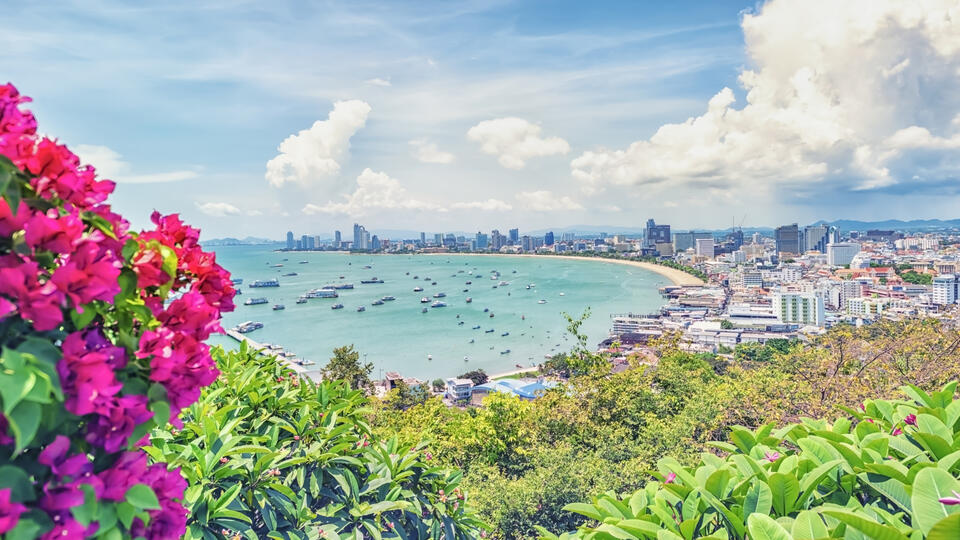 Is AI the New Travel Agent for Retirees?