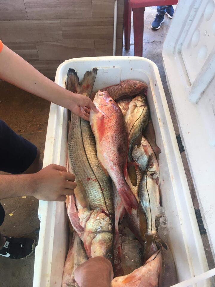 Fresno’s seafood spot brings coastal Mexico home