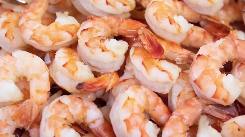 Radioactive Shrimp Recall? Not Again!