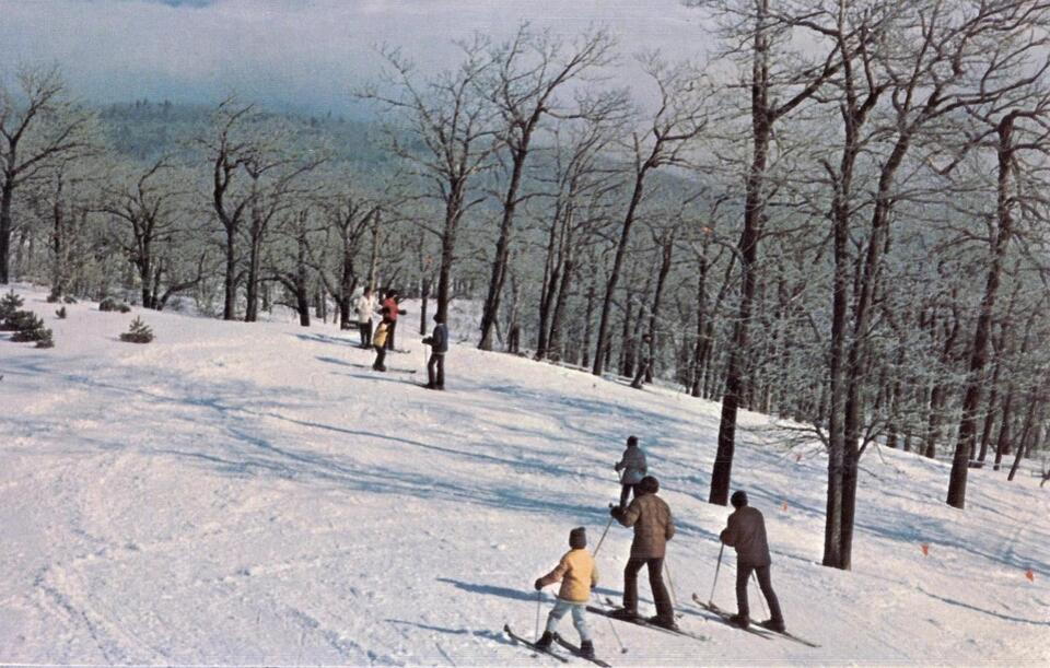 Abandoned Ski Resorts: Nature’s Comeback