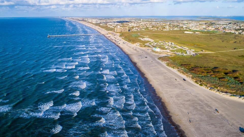 Jellyfish invasion shakes up Texas coast
