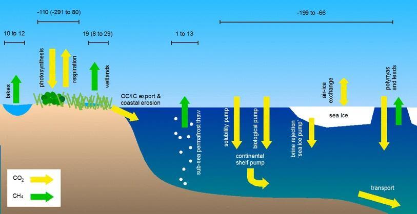 What’s Hiding Under Melting Arctic Ice?