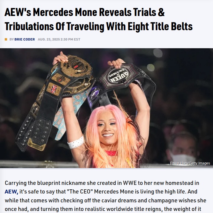 The CEO’s Belt Struggle: Mone’s 80lb Carry-On Woes