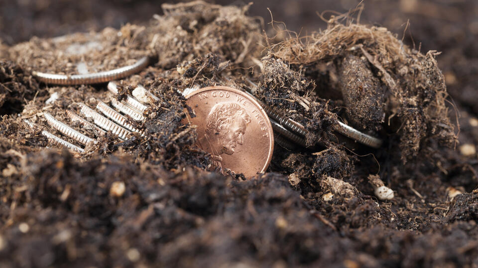 Old pennies could save your garden