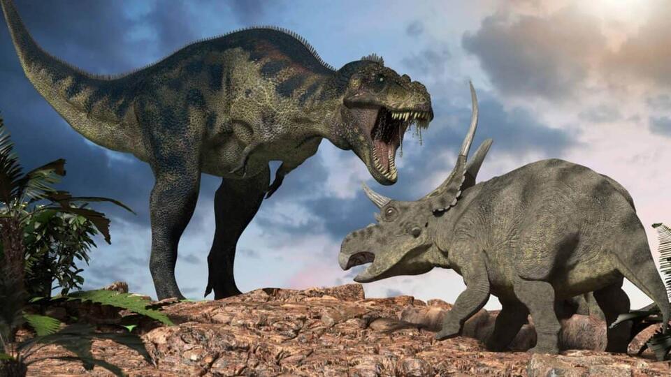 Dino Leg With Skin Found—Asteroid Day Drama!