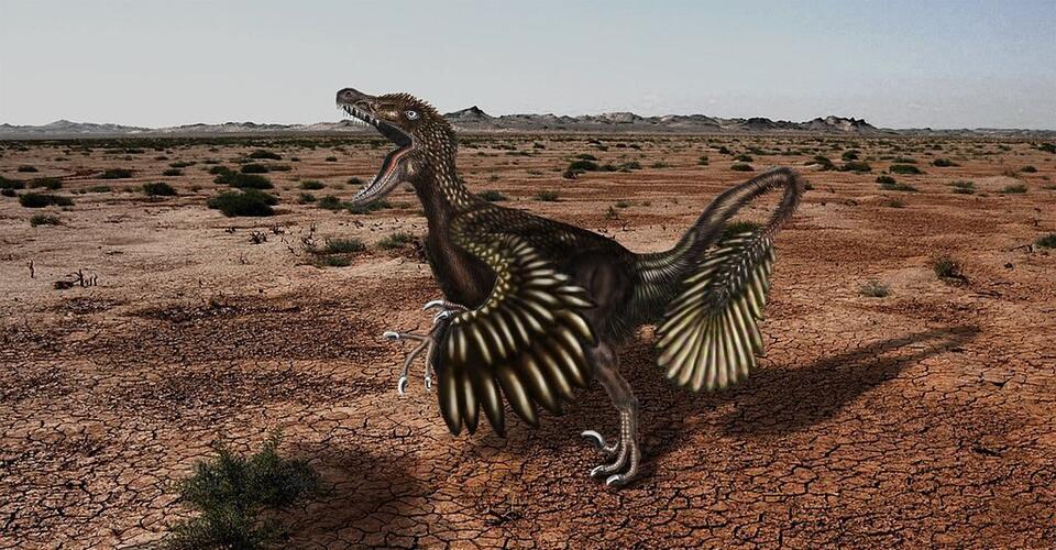 6 Dinosaurs That Are Basically OG Birds