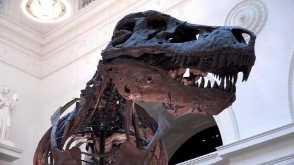 This Dino Bone Just Changed Everything