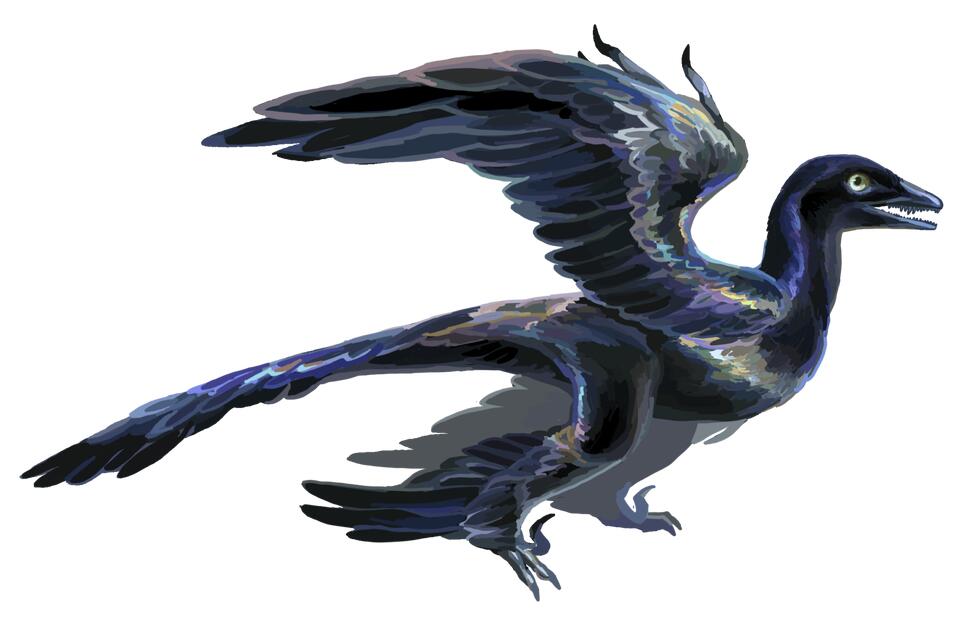 6 Dinosaurs That Are Basically OG Birds