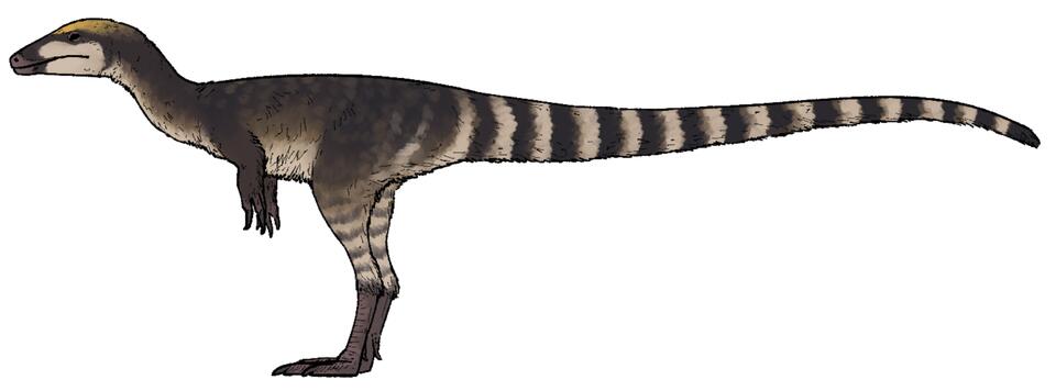 6 Dinosaurs That Are Basically OG Birds
