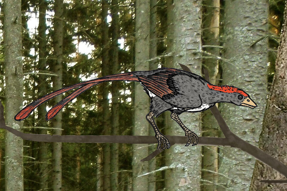 6 Dinosaurs That Are Basically OG Birds