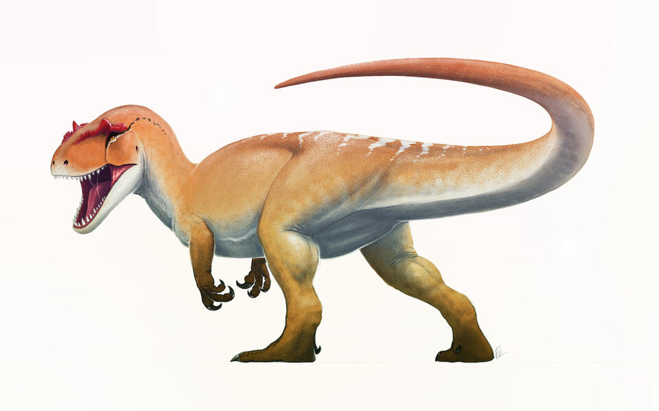 Birds Are Dinosaurs. I'm Just Tired