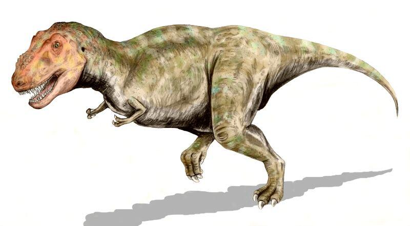 6 Dinosaurs That Are Basically OG Birds