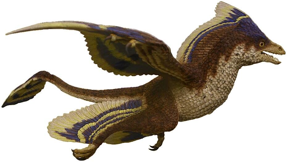 6 Dinosaurs That Are Basically OG Birds