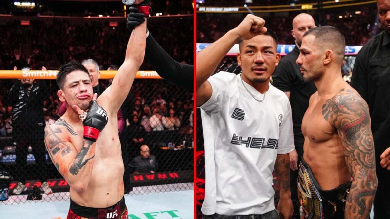 The Assassin Baby stuck in title shot limbo