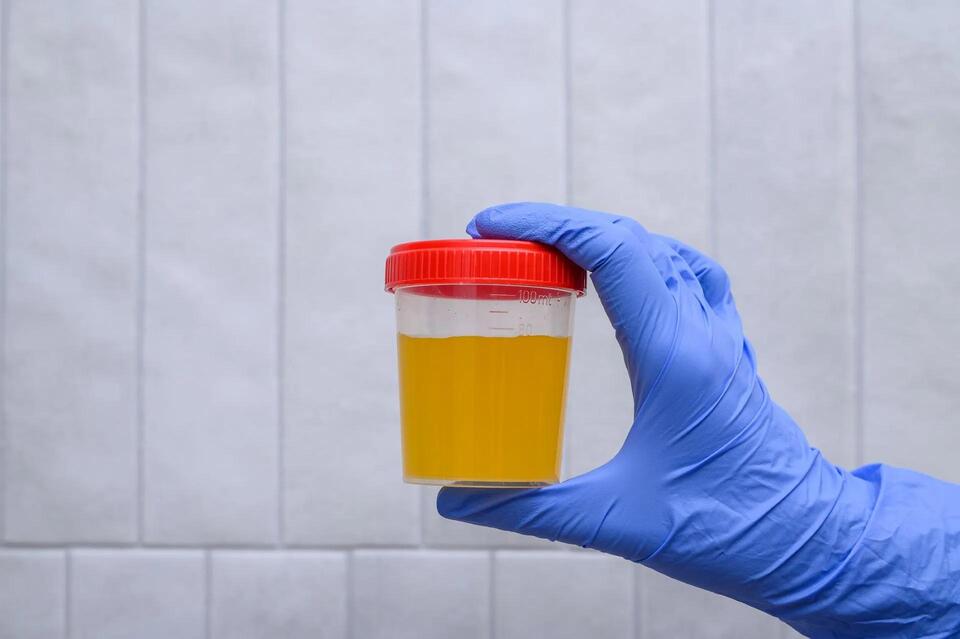 Turning Poop Into New Teeth?!