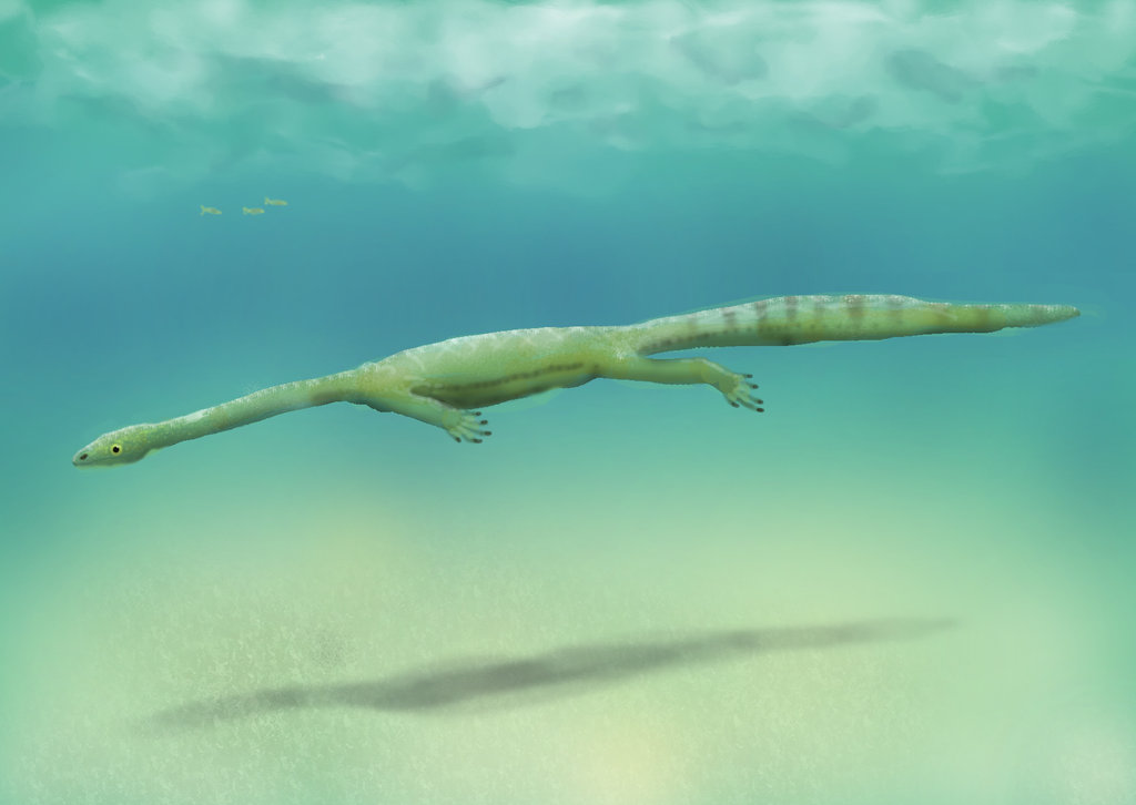 120-Million-Year-Old Two-Headed Fossil?!
