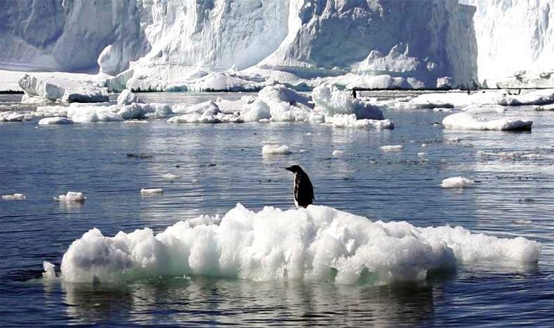 These Climate Myths? Totally Busted!