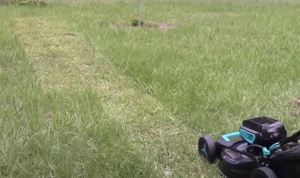 Would You Ditch Gas for an Electric Mower?