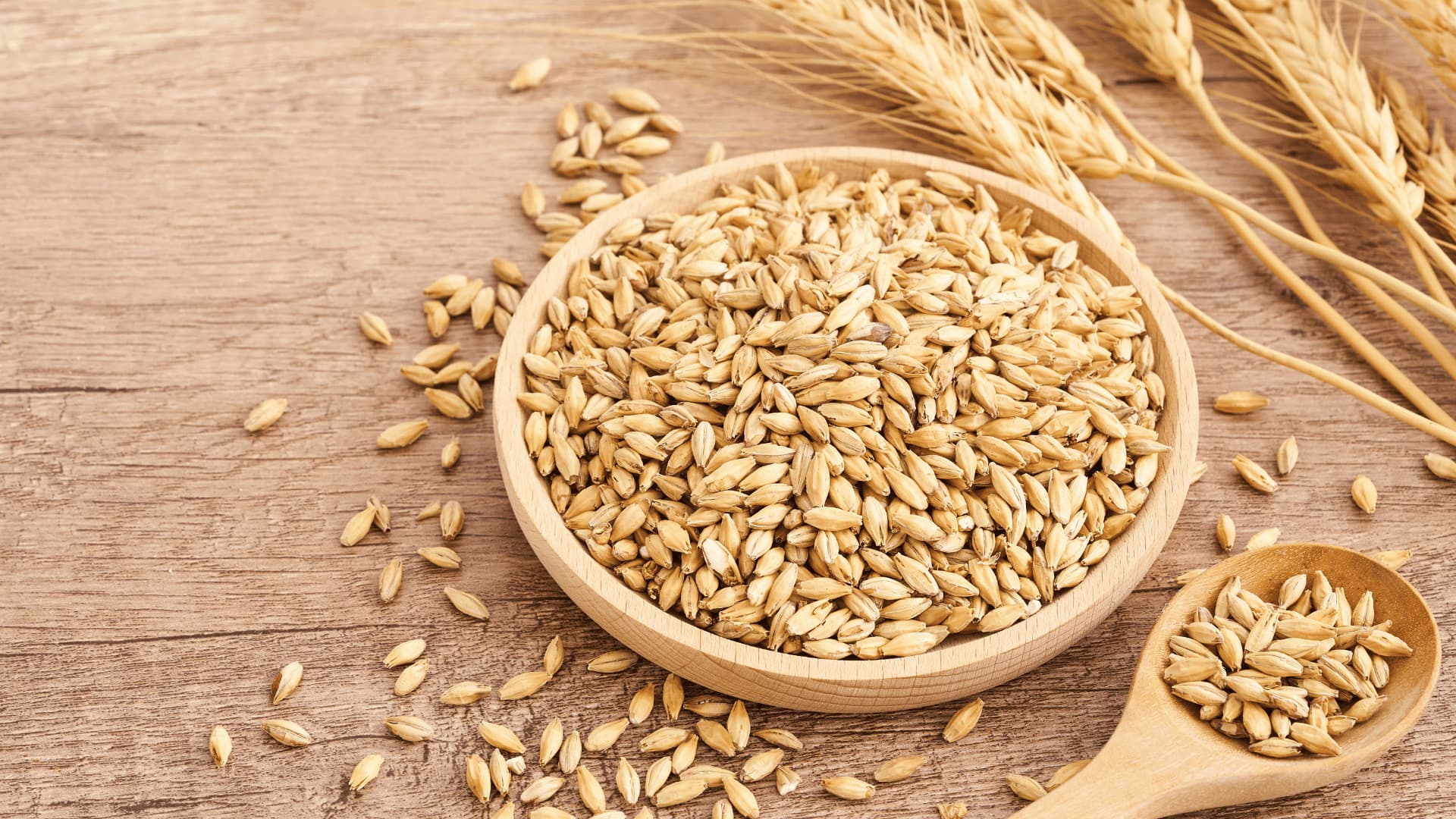 The ‘Whole Grain’ Lie