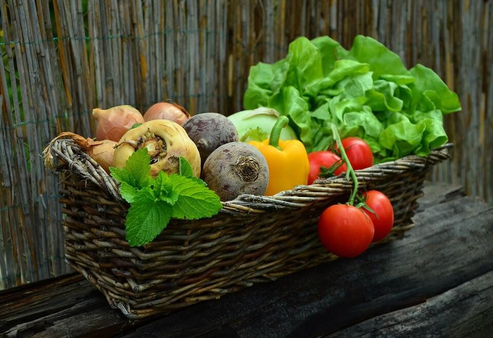 7 Real-Life Hacks for a Balanced Plate