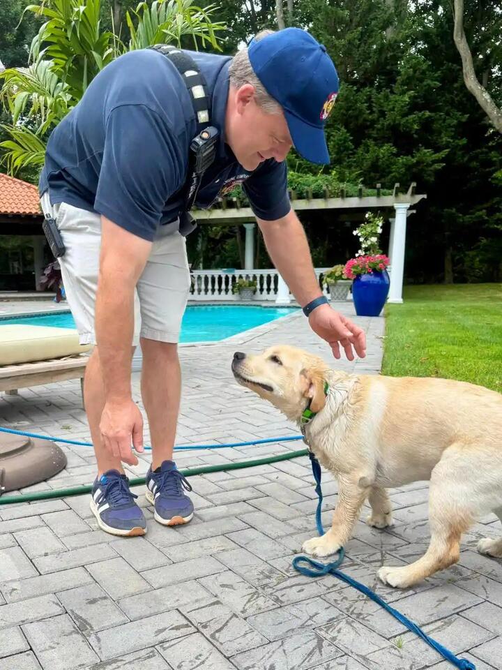 Firefighters save playful pup in Setauket