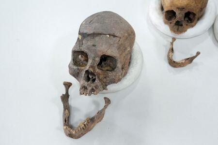 Ancient DNA Uncovers a Lost Human Lineage