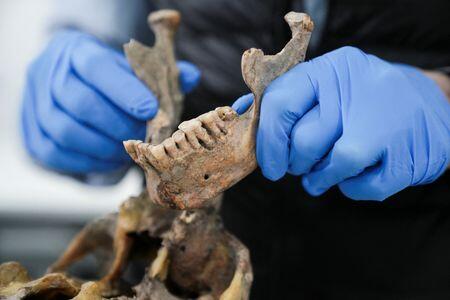 Ancient DNA Uncovers a Lost Human Lineage