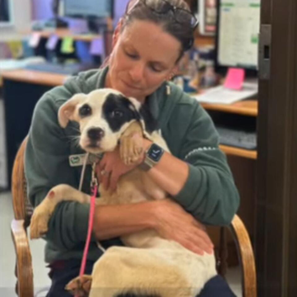 Oregon camper’s roadside rescue leads to new beginnings