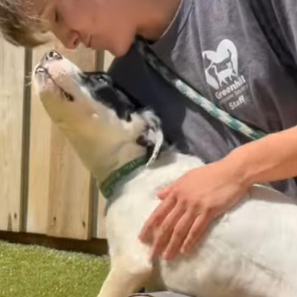 Oregon camper’s roadside rescue leads to new beginnings