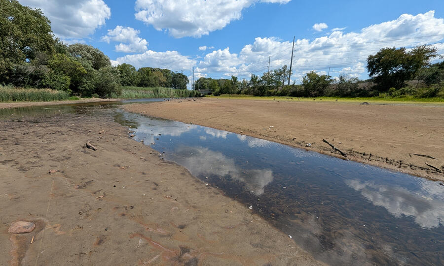 Charles River dries up: Walk across it!