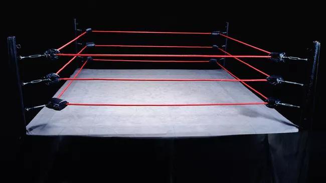 Raja Jackson’s wild wrestling attack stuns fans