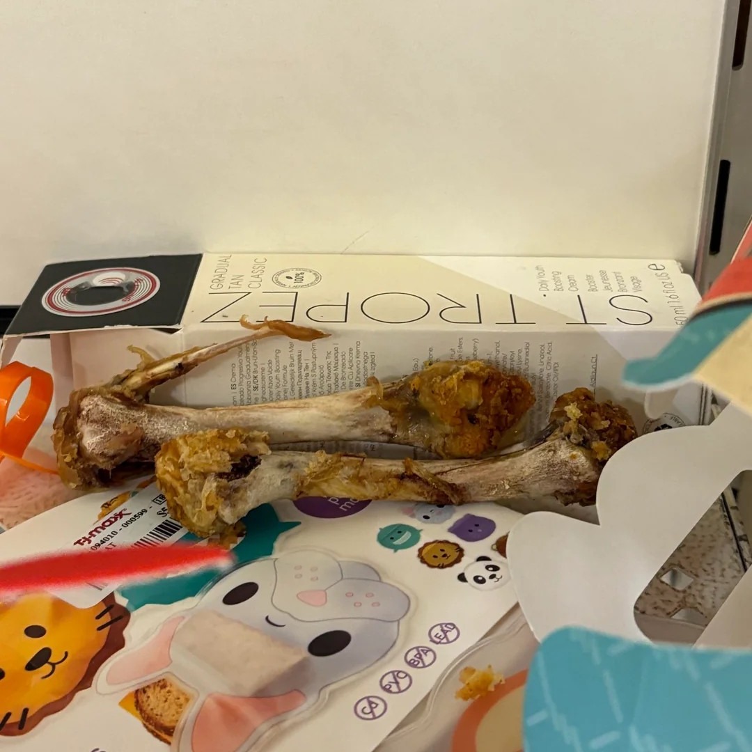 I am so sick of cleaning up after grown adults in public spaces
