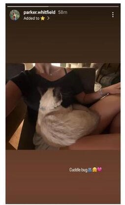 Bronny James’ GF Shares Sweet Cat Snuggle
