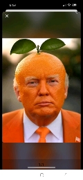 Orange Julius Caesar