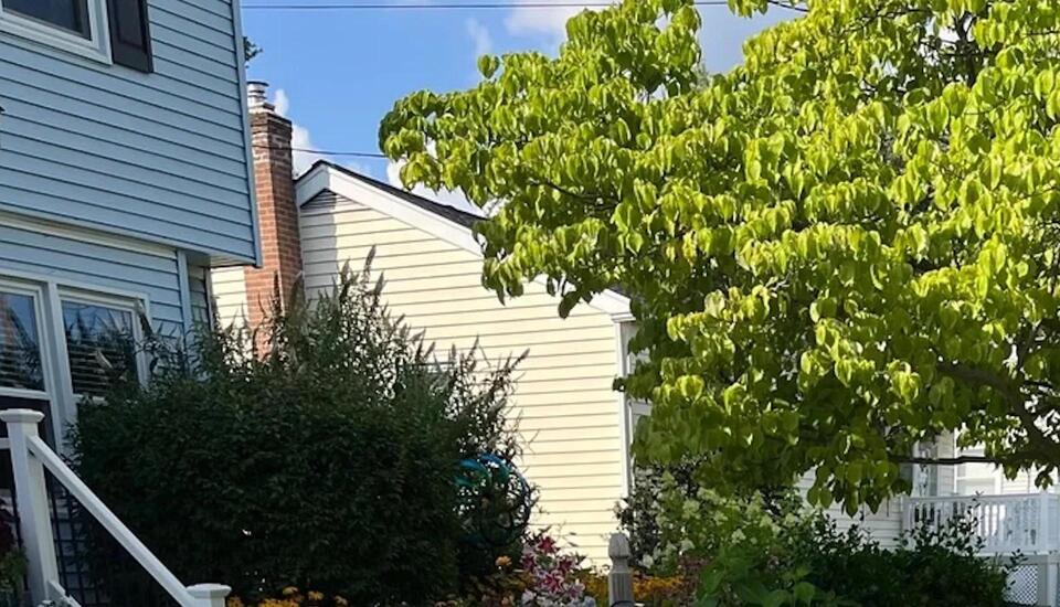 Why native plant yards are taking over neighborhoods