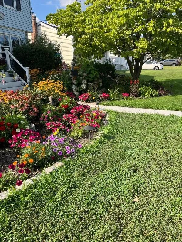 Why native plant yards are taking over neighborhoods