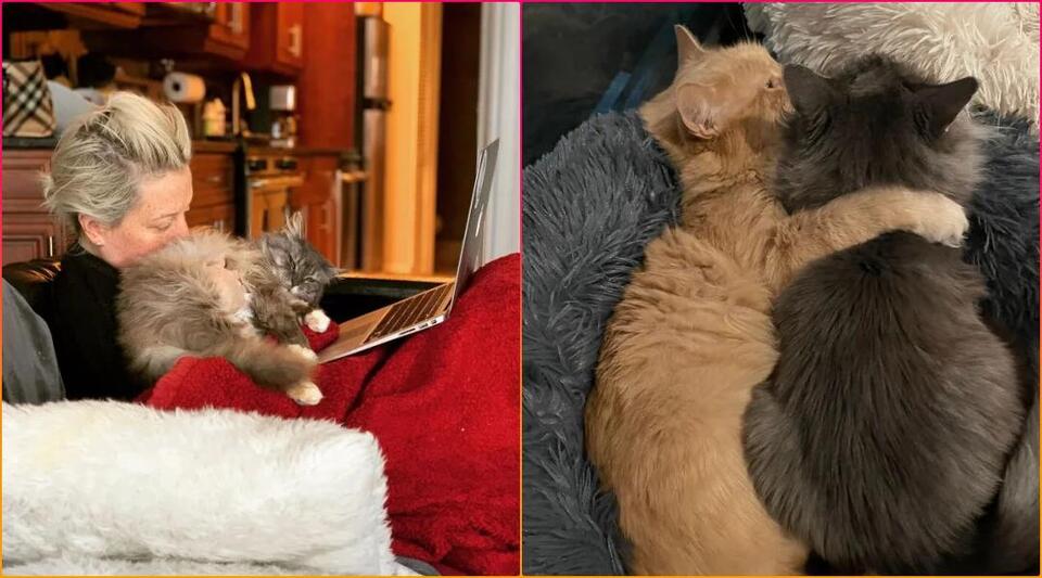 Luna’s rescue: A second chance at love