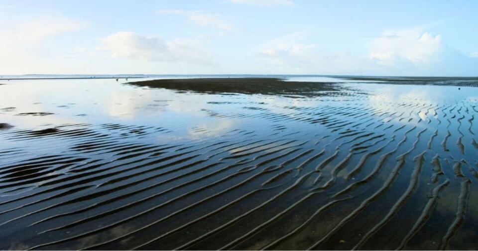 North Sea Sand Mystery Flips Science