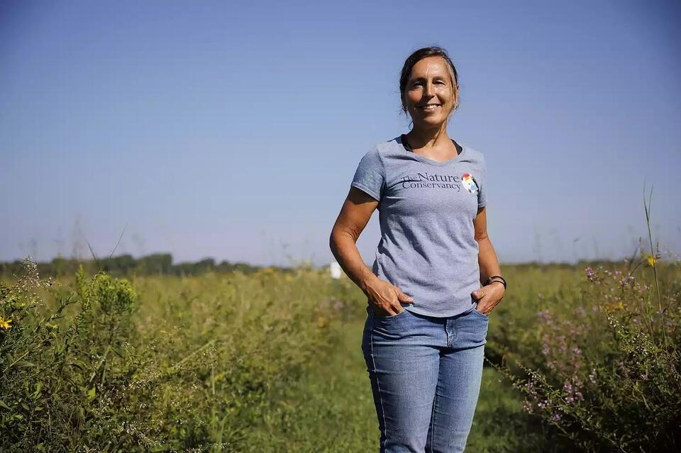 Bison return transforms Indiana’s prairies