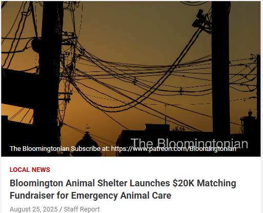 Double your impact for Bloomington’s animals