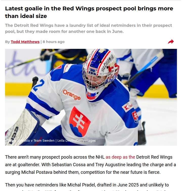 Red Wings Goalie Battle: Cossa vs. Postava Heating Up