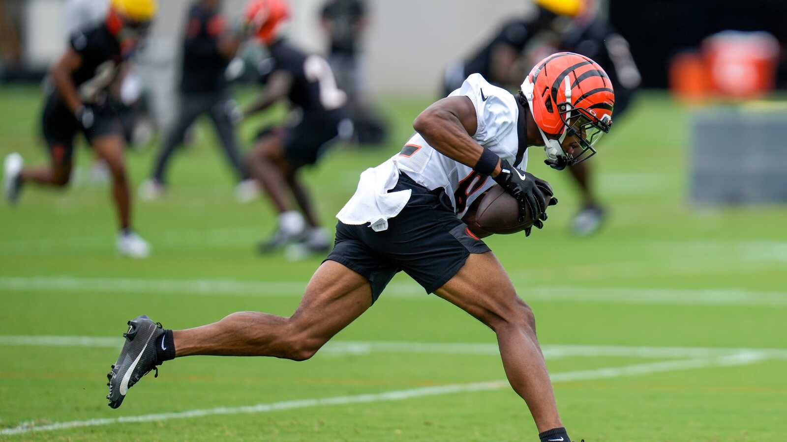 Tinsley earns stripes—Bengals fans, let's talk!