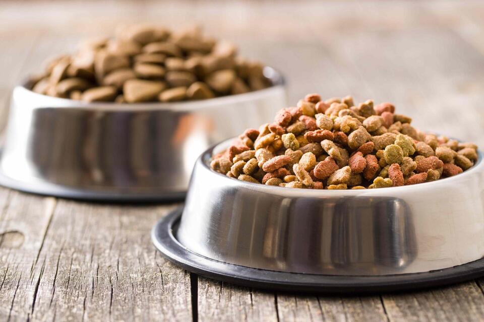 Pet Food Recall Alert: Check Your Freezer!